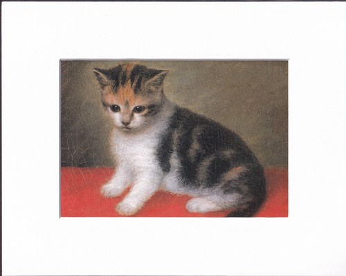 8x10 white matted print - matted,