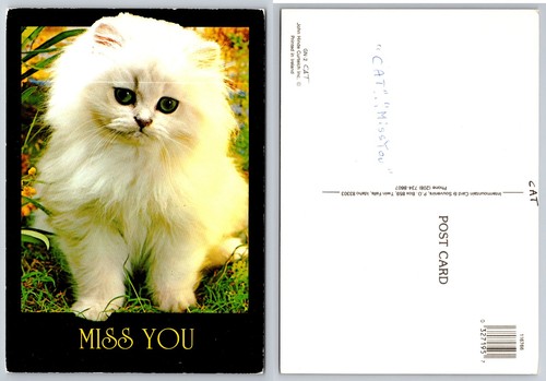 Vintage miss you persian - vintage,