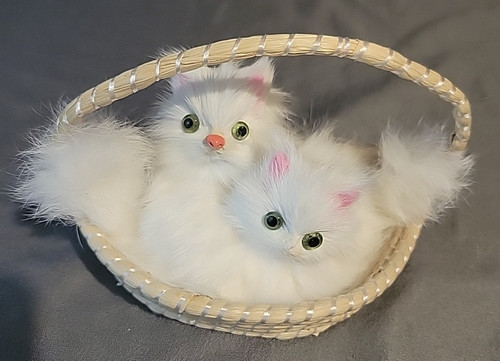 Furry realistic kittens cat - realistic,